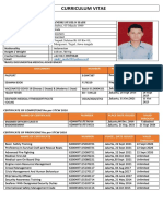 CV Summary for Marine Engineer