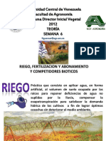 Pdi Semana 6 Teoria1