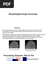 Morphological Processing