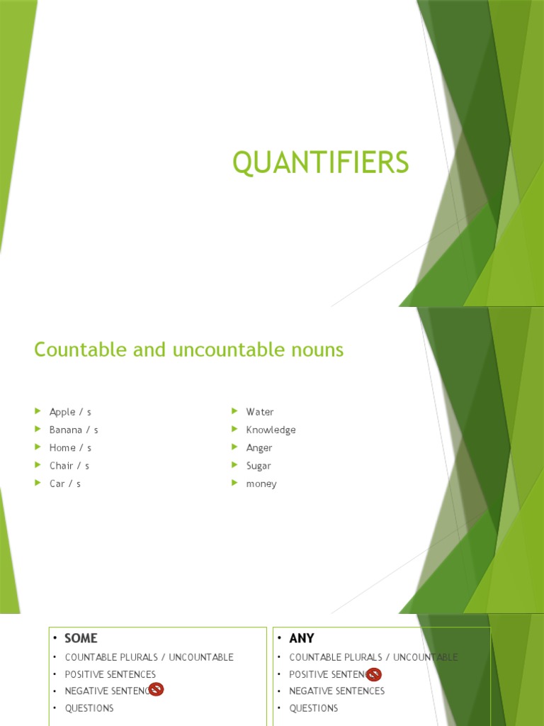 Understanding Quantifiers and Grammar | PDF | Grammatical Number ...