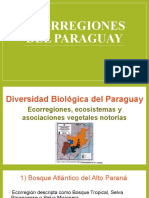 Ecorregiones del Paraguay: Diversidad en