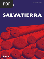 Salvatierra by Pedro Mairal (z-lib.org)