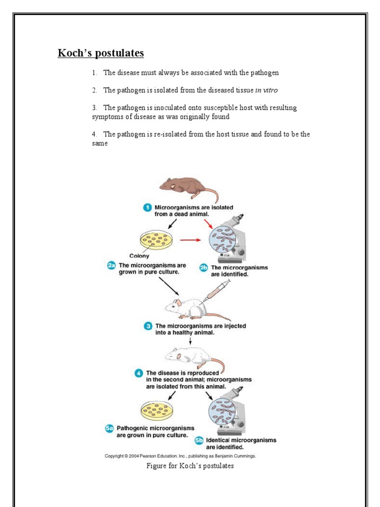 Koch | PDF | Self-Improvement | Wellness