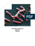 Burkholderia Pseudomallei: Double Paper Nathan Cain Micrbiology