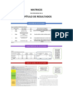 Infografía Matrices Resultados