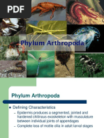Grasshopper Anatomy and Dissection Guide | PDF | Insects | Abdomen