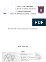 Práctica No.1 Estructuras Somáticas y Reproductoras de Hongos