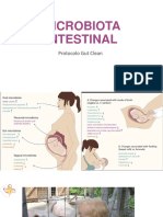 Modulação da Microbiota_Protocolo Gut Clean