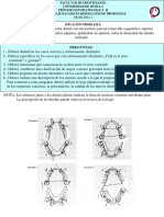 Problema 2 (3)