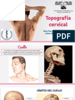 Topografía Cervical