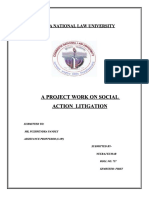 Social Interest Litigation