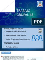 TRABAJO GRUPAL  #3