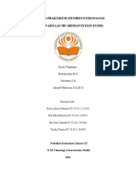 031_NUR EKA KOIRINA_LAPRAK PEWARNAAN HE (KEL 5) _SITOHISTOTEKNOLOGI