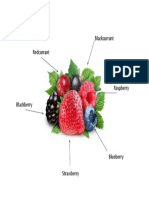 Types of Berries: Blackcurrant, Redcurrant, Raspberry, Blackberry, Blueberry, Strawberry