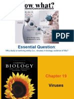 Essential Question:: Questions/Concerns/Review
