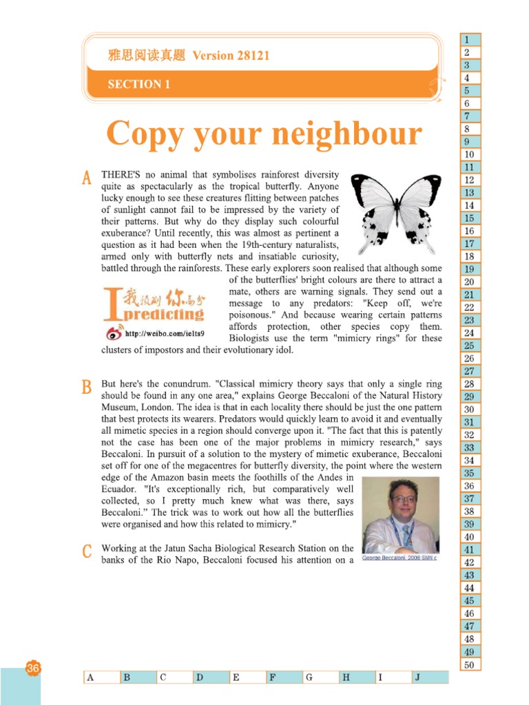 Copy Your Neighbor | PDF