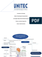 Entregable1 - Mapa Mental Sistema Endocrino