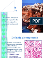Ţesuturile Conjunctive: Clasificare, Histogeneză Celulele Conjunctive Fixe Fibrele Conjunctive Substanţa Fundamentală