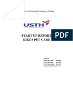 Example For StartUp Report