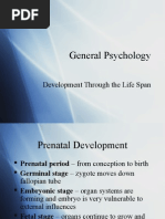 Stages of Development