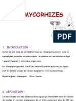 Mycorhizes