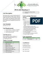 CPCS-241 Database I Lab Description