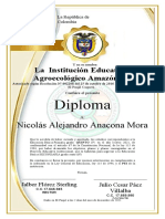Diplomas 5 JULIO San Luis