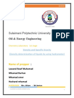 Density Lab Report