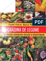 Gradina de Legume 1 -106