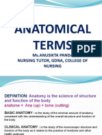 Anatomical Terms: Ms - Anusikta Panda Nursing Tutor, Gdna, College of Nursing