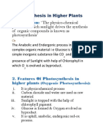Photosynthesis Classroom Notes Final
