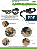 Guía Básica para Distinguir Entre Una Rabo de Ají y Una Falsa Rabo de Ají en Colombia. Micrurus Mipartitus vs. Atractus Clarki