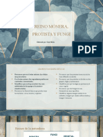 Reinos biológicos: Monera, Protista y Fungi