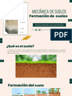 Formación y tipos de suelos en