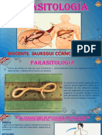 Sesion #02 Parasitologia