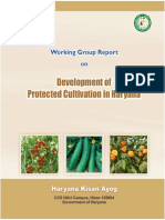 Haryana Protected Cultivation Working Group Report: Roadmap for Promoting Peri-urban Horticulture