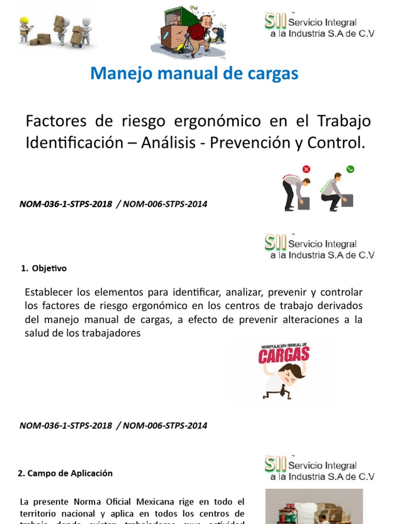 Manejo Seguro de Cargas Manuales STPS | PDF | Factores humanos y ...