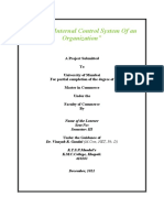 Internal Control System of Orgnizations