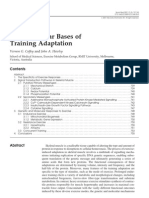 The Molecular Bases of Training Adaptation