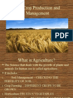 Crop Production and Management