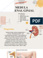 Ginjal (Medula Adrenal)