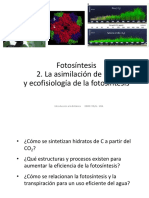 7.2 Fotosíntesis - Asimilación de CO2 y Ecofisiología