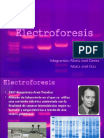 Electroforesiss FINAL