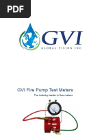 GVI Brochure - PDF 1