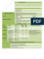 Plan de Auditoria Gestion Suministros