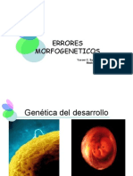 Errores Morfogeneticos