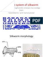 Digestive System of Silkworm by R N