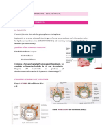 Apuntes Biologia Del Desarrollo