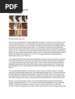 Download Membuat Pakan Ikan Lele by Usma Wanti SN56696320 doc pdf