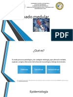 Lesión medular: tipos, fases, clasificación ASIA y normas internacionales